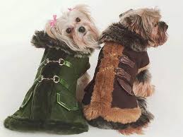 Одежда для собак купить в Минске , каталог, доставка